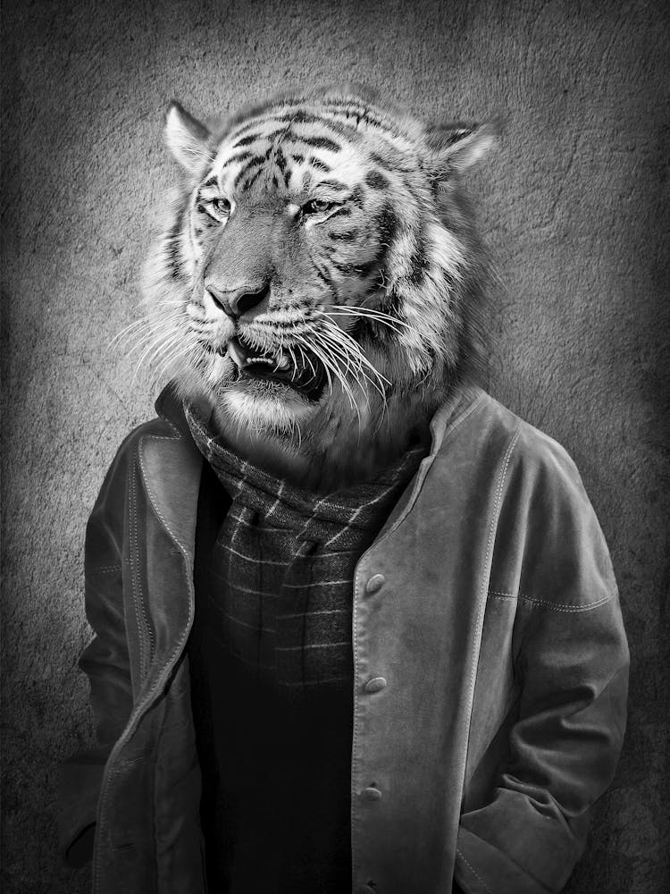 Tiger Portrait