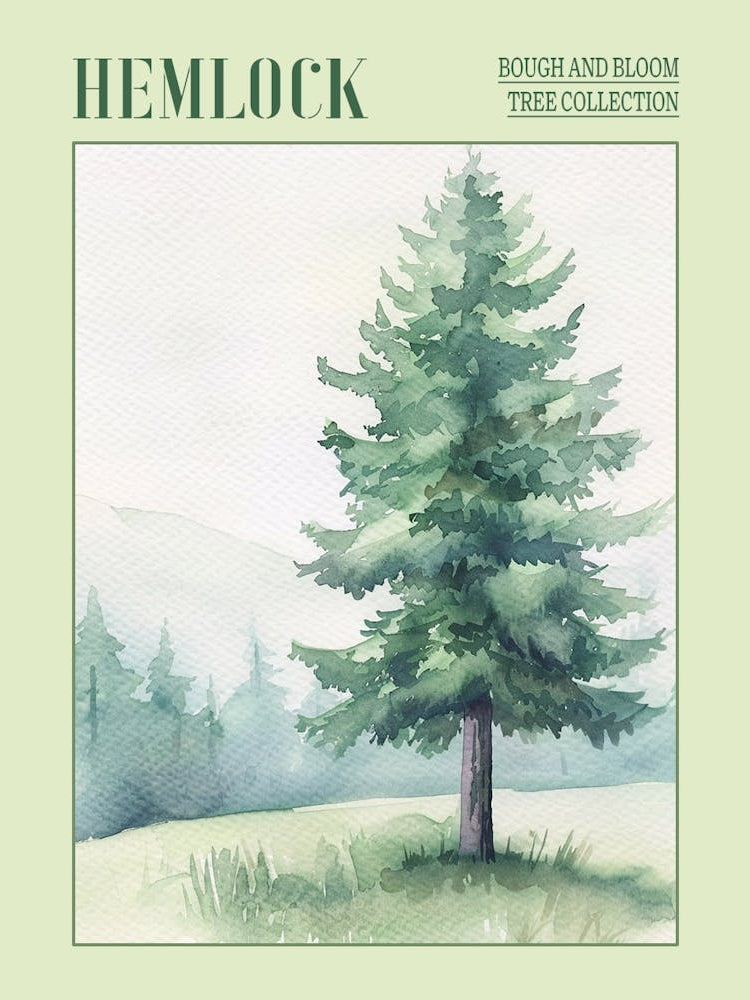 Hemlock Tree Atmospheric Watercolour Painting 1 Poster