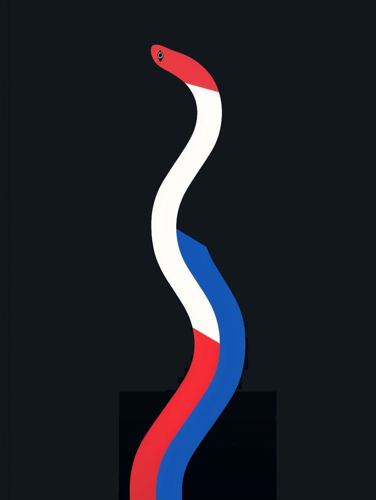 Snake Minimalist Abstract 1