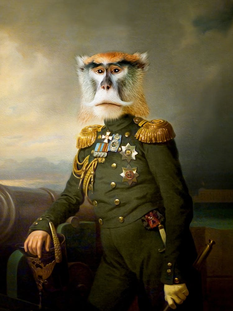 Major Eugene The Monkey Pet Portraits
