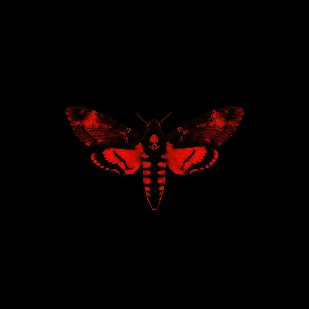 Lil Wayne (13)