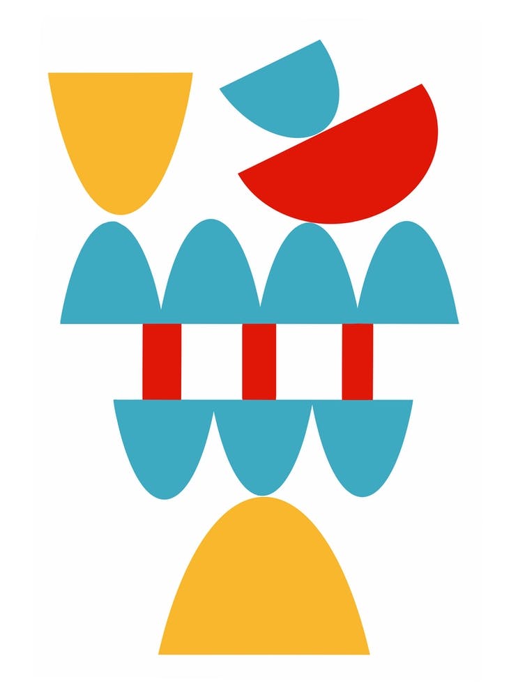 Geometric Organs