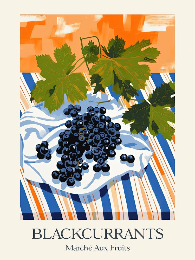 Marche Aux Fruits Blackcurrants Fruit Summer Illustration 1