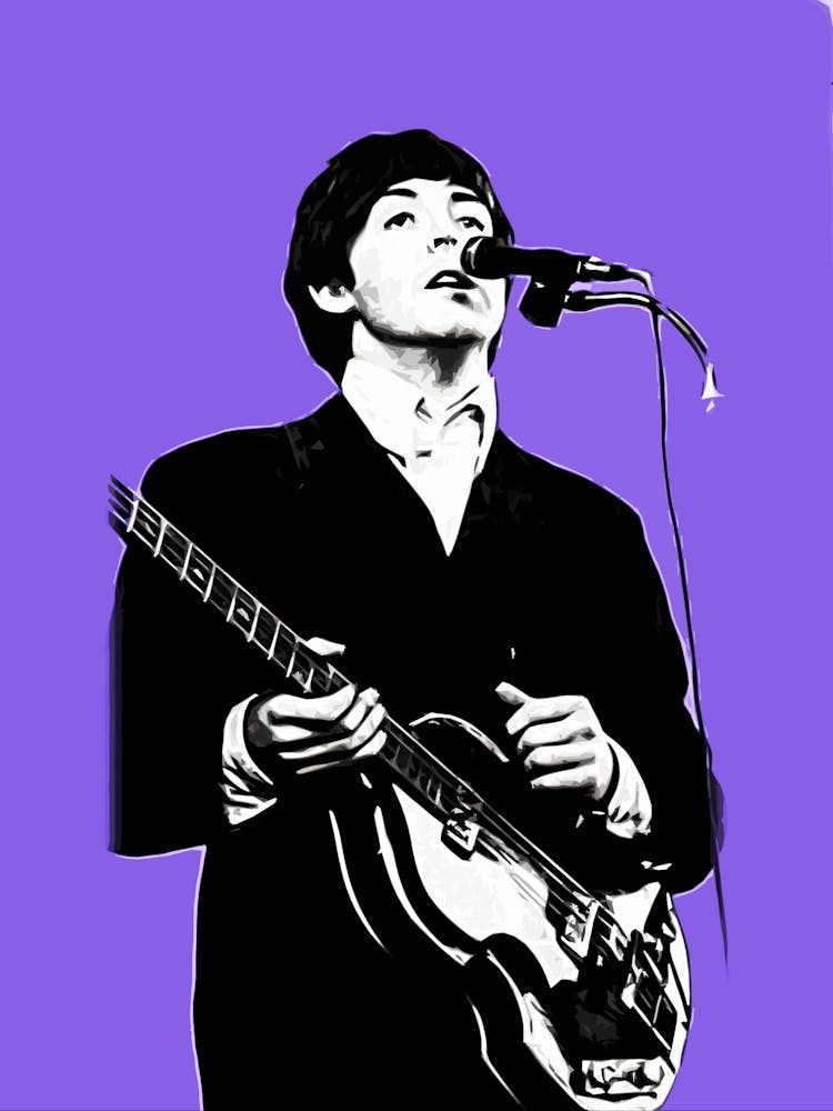 Paul McCartney the beatles 2