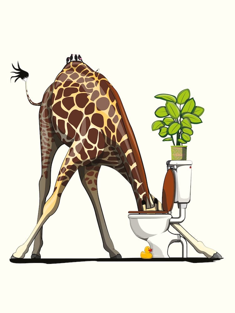 Giraffe Drinking From Toilet