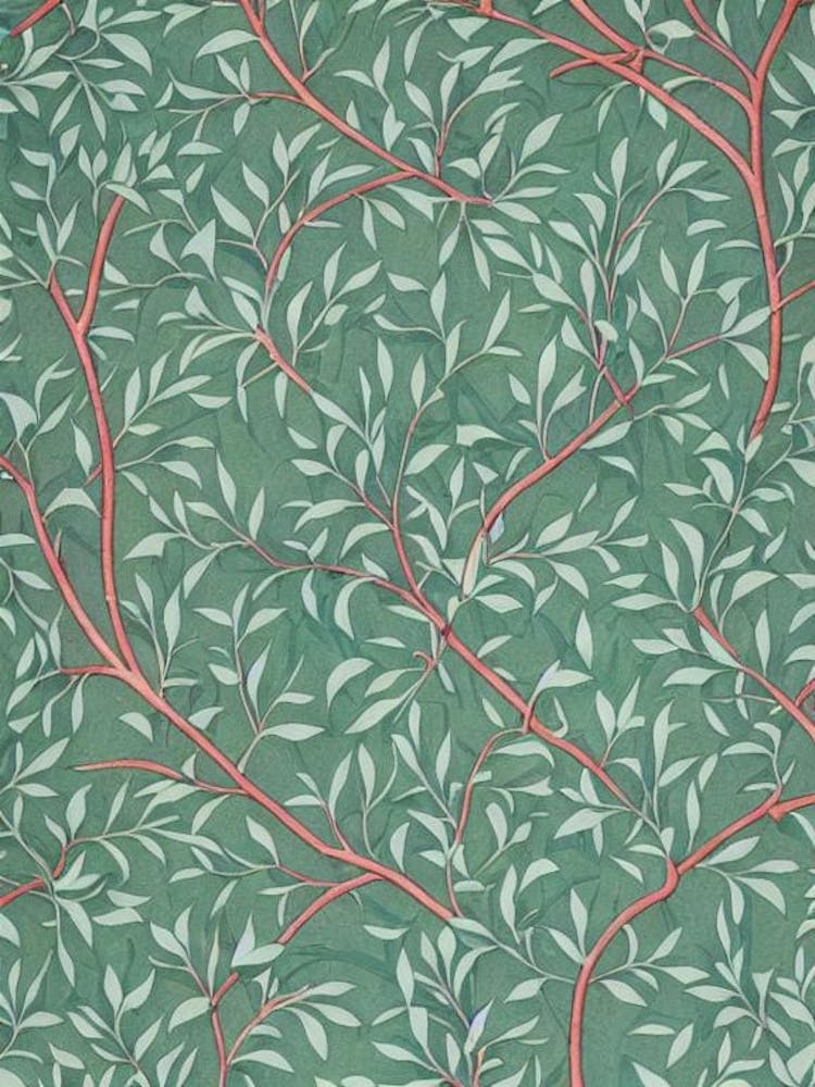 Red Alder 2 tree Vintage Botanical