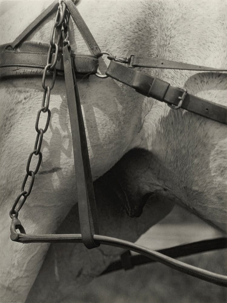 Spiritual America (1923), Alfred Stieglitz
