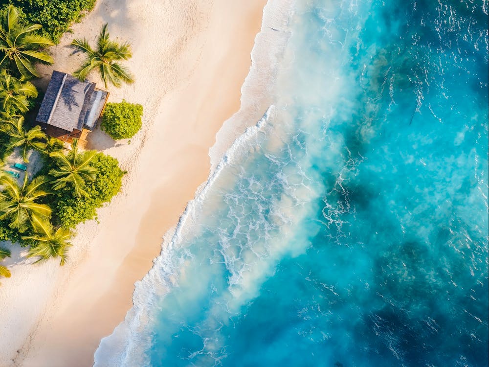 Tropical Beach 2