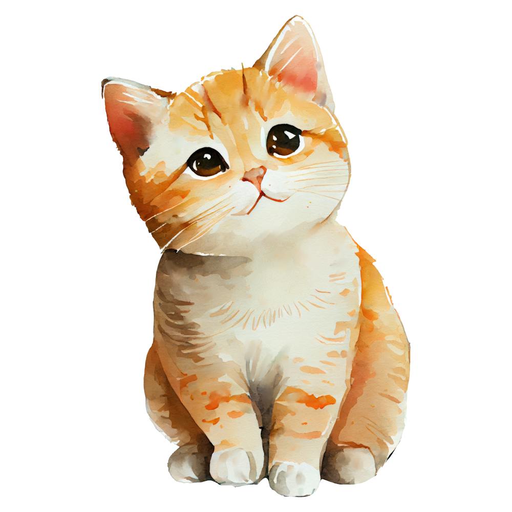 Cute Orange Tabby Cat
