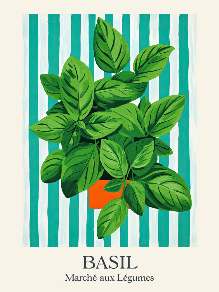 Marche Aux Legumes Basil Summer Illustration 4