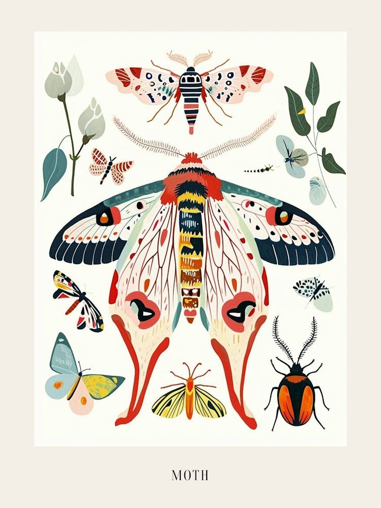 Colourful Insect Illustration Moth 10 Poster