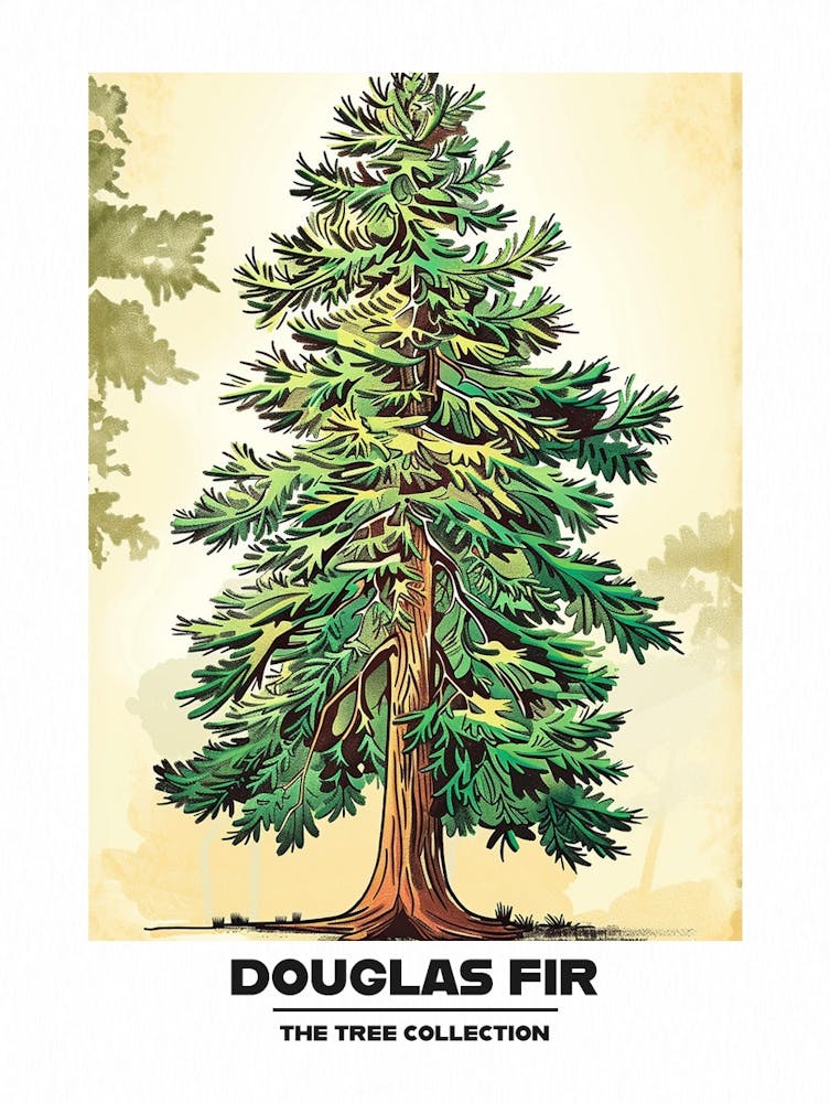 Douglas Fir Tree Storybook Illustration 2 Poster