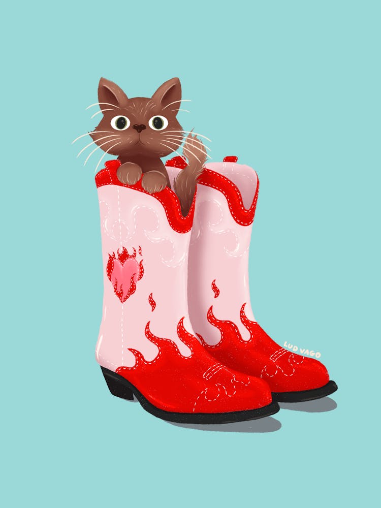Cat in Cowboy Boots