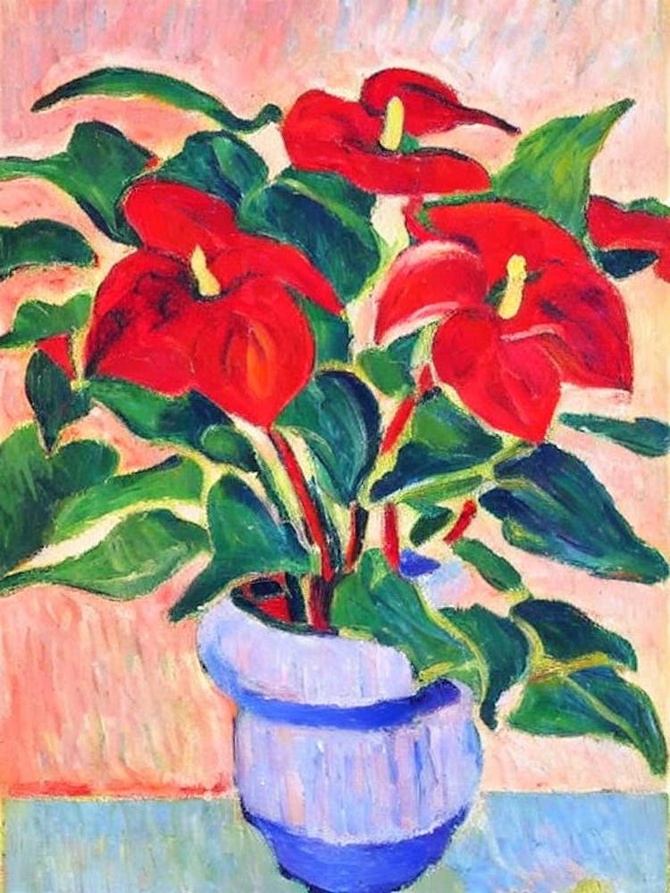 Anthurium  Matisse Style Flower