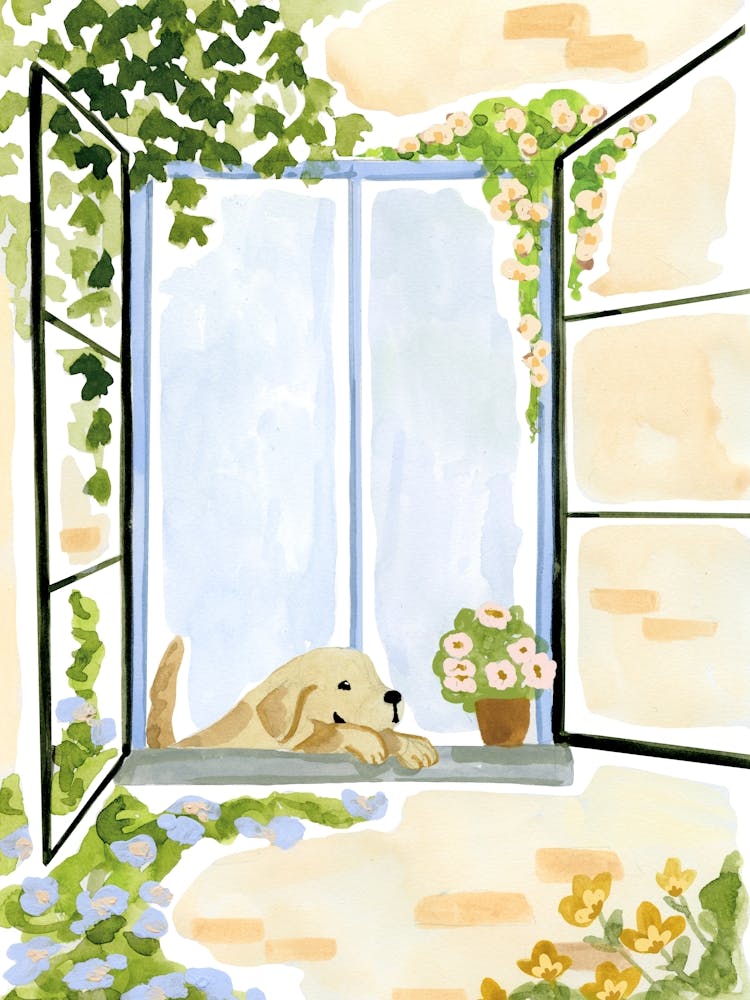 Puppy By The Window