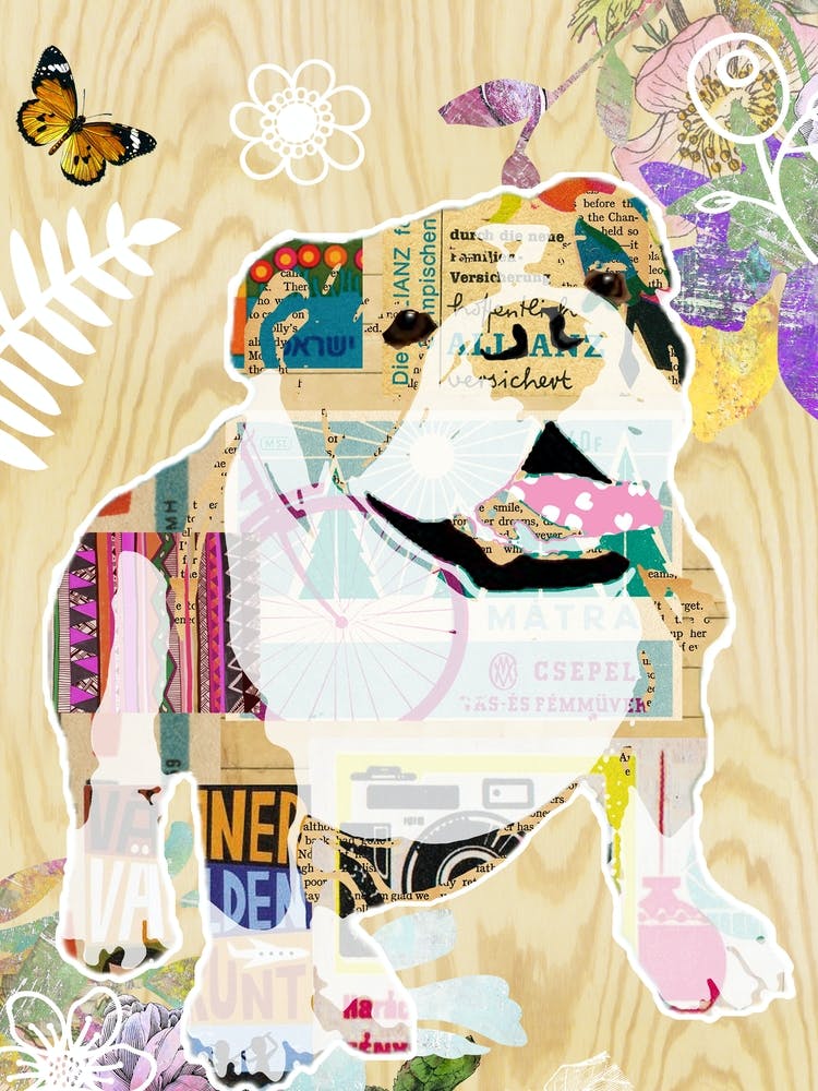 Happy Bulldog Collage