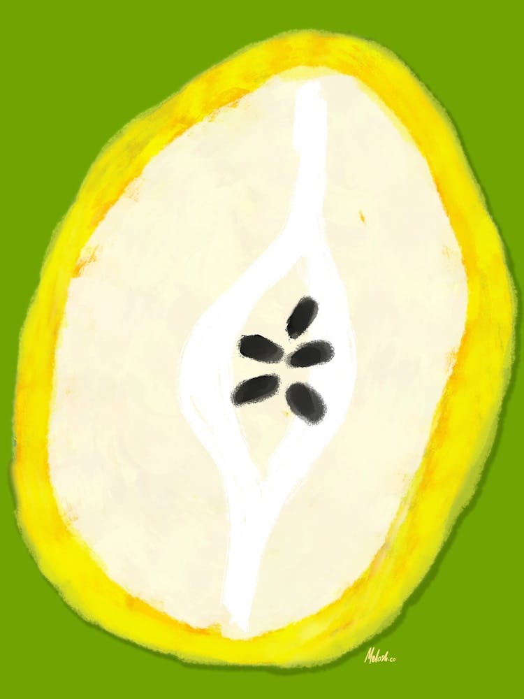 Pear Fruit - Artwork