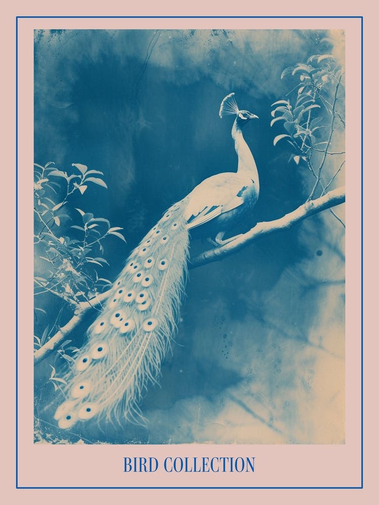 Peacock In The Tree Cyanotype Inspired 2 Poster