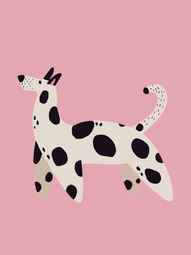 Chien Funky