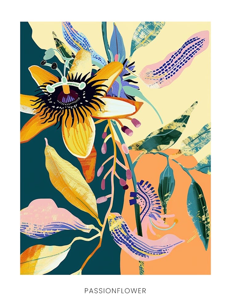 Colourful Flower Illustration Poster Passionflower 1