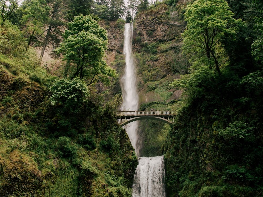 Multnomah Falls II