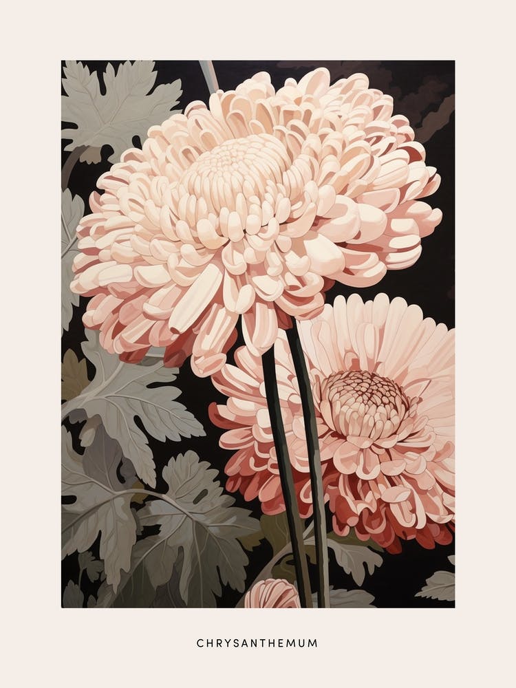 Blumenillustration Chrysantheme 4 Poster