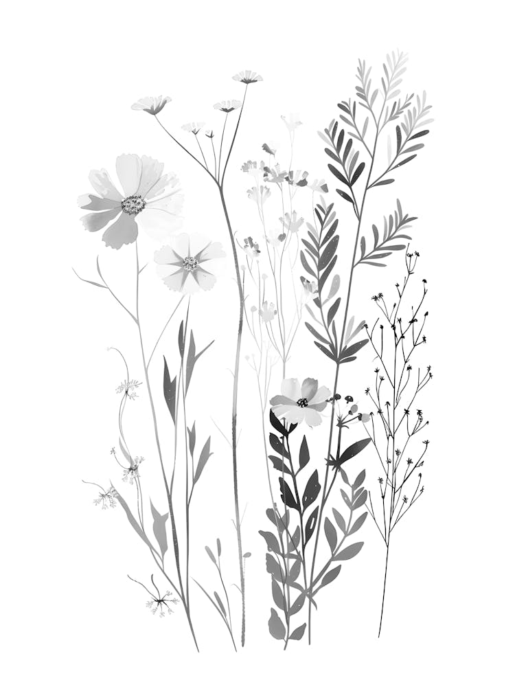 Wildflowers 13