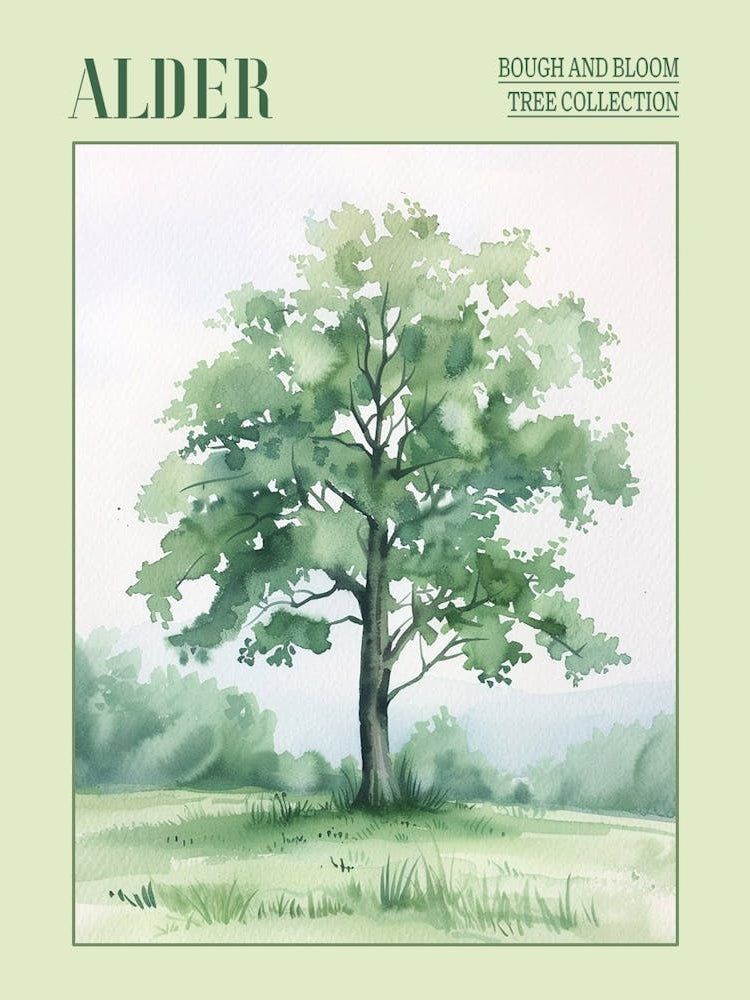 Alder Tree Atmospheric Watercolour Painting 5 Poster