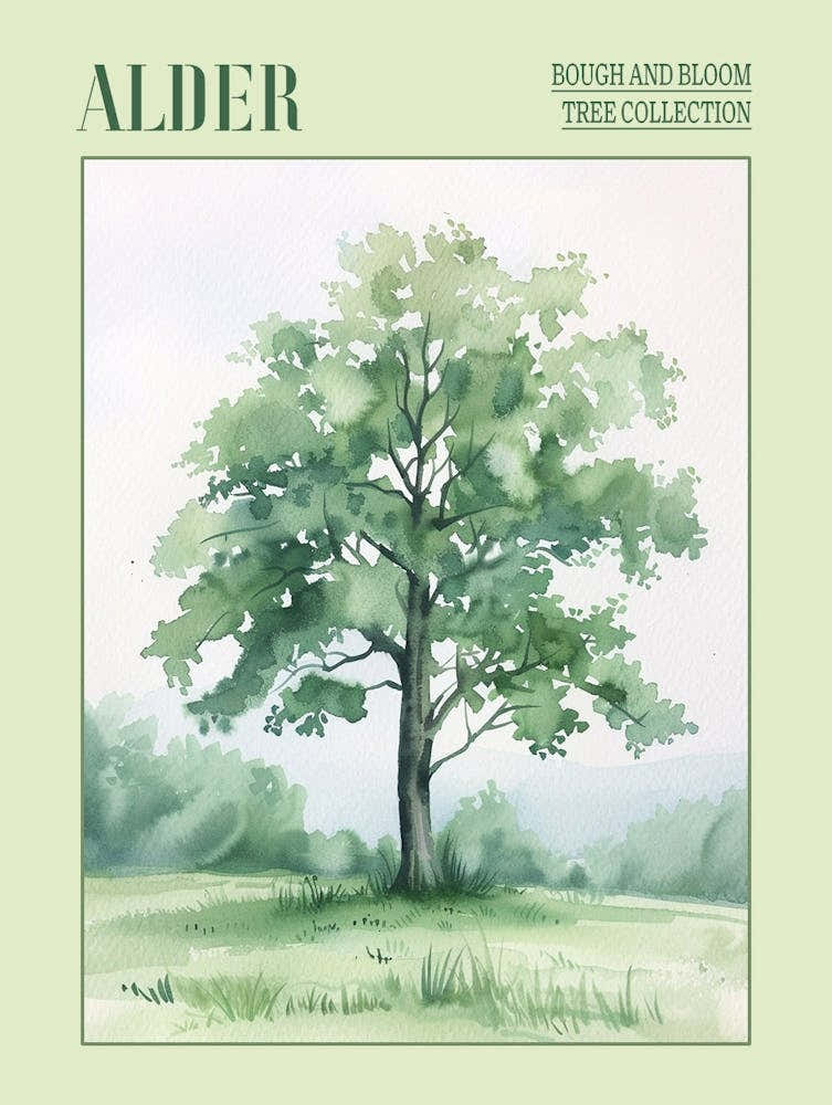 Alder Tree Atmospheric Watercolour Painting 5 Poster