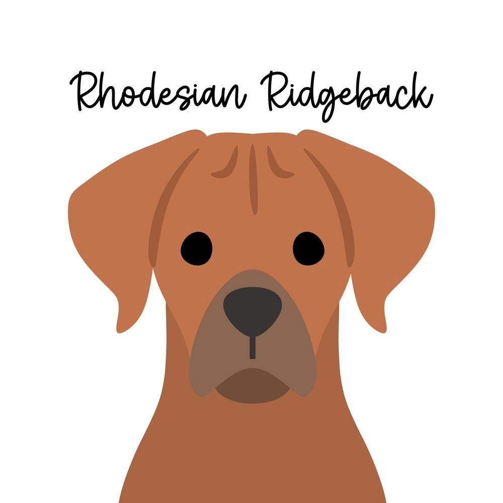 Rhodesian Ridgeback