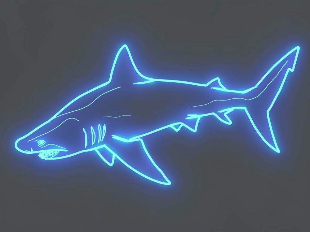 Aqua Hammerhead Shark 6