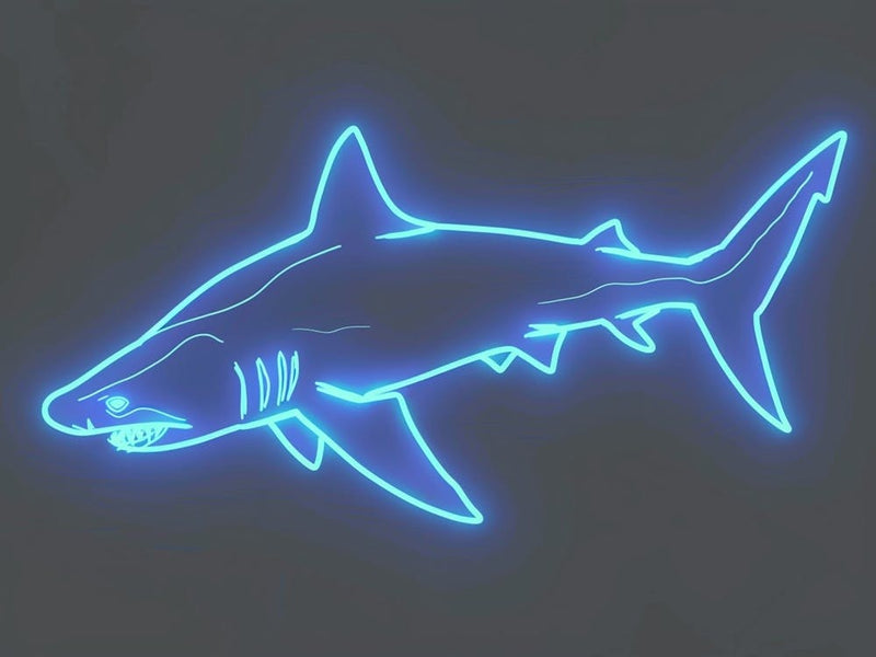 Aqua Hammerhead Shark 6