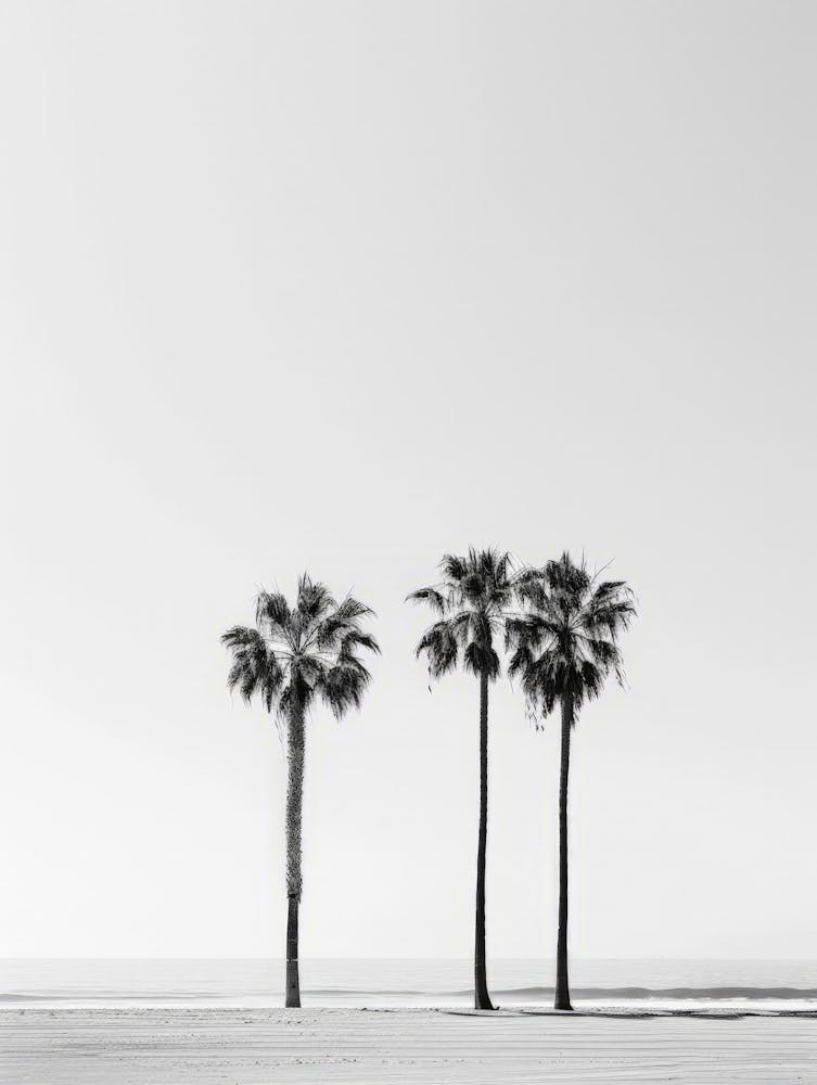 Three Palm Trees On The Beach