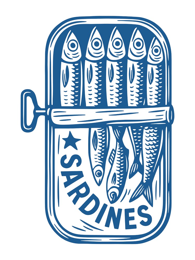 Sardines 11