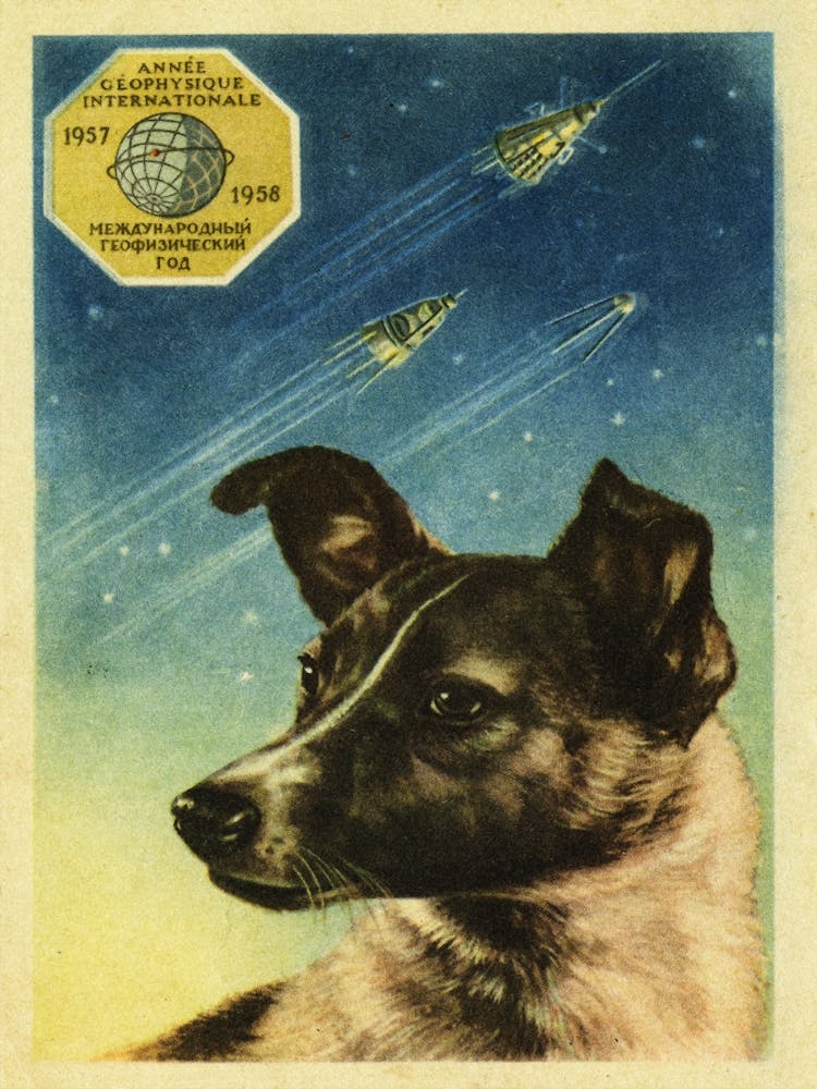 Laika, First Soviet space dog, USSR 1958 — Soviet vintage space poster, soviet poster, propaganda poster