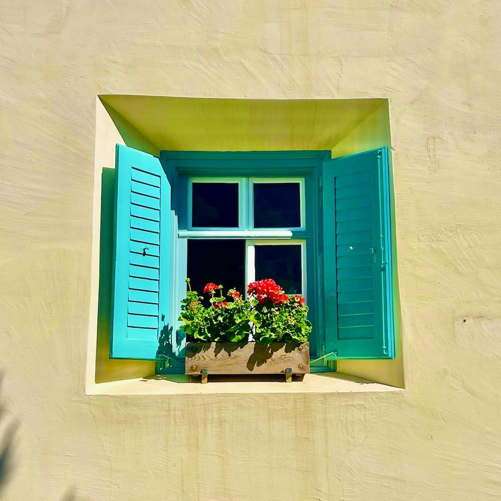 Friedrich Nietzsche's Front Window