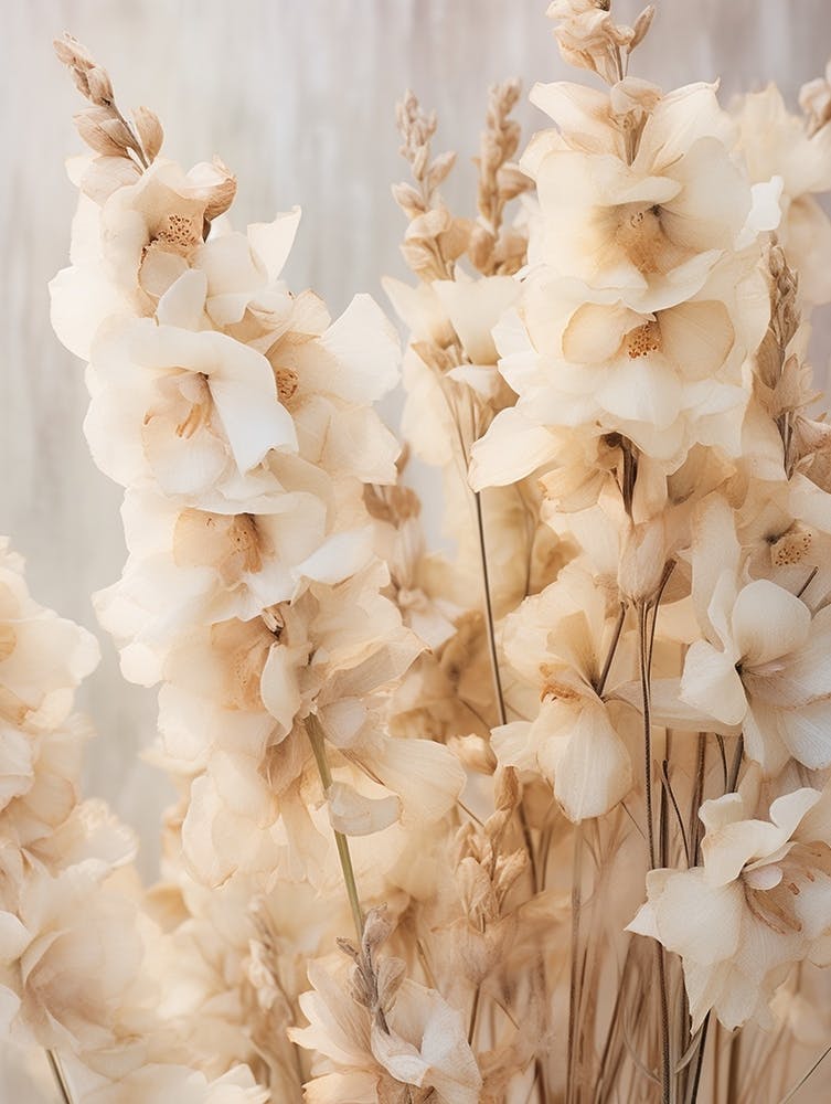 Boho Dried Flowers Delphinium 4