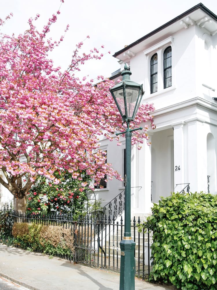 Spring London Streets