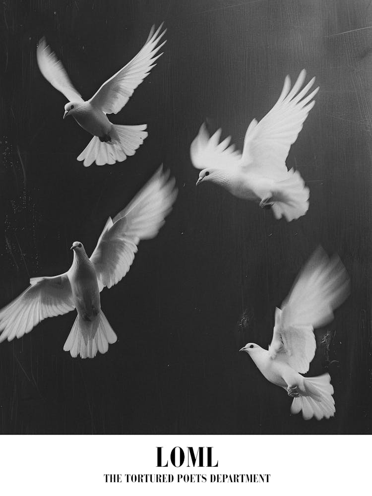 Taylor Swift Loml Ttpd Swifie Merch Black And White