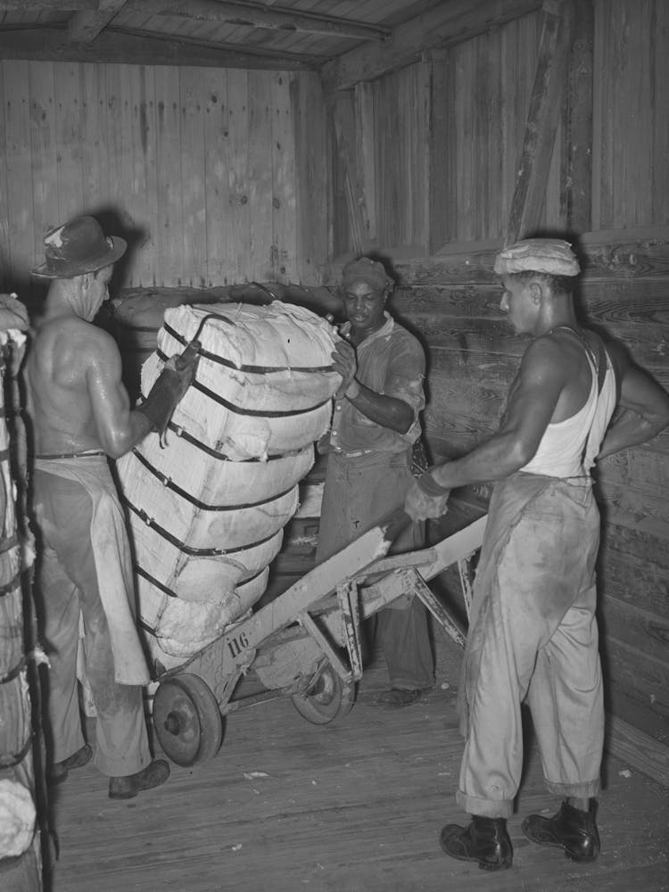 Untitled Photo, Possibly Related To Unloading Bale Of Cotton From Railroad Car, Compress, Houston, Texas By