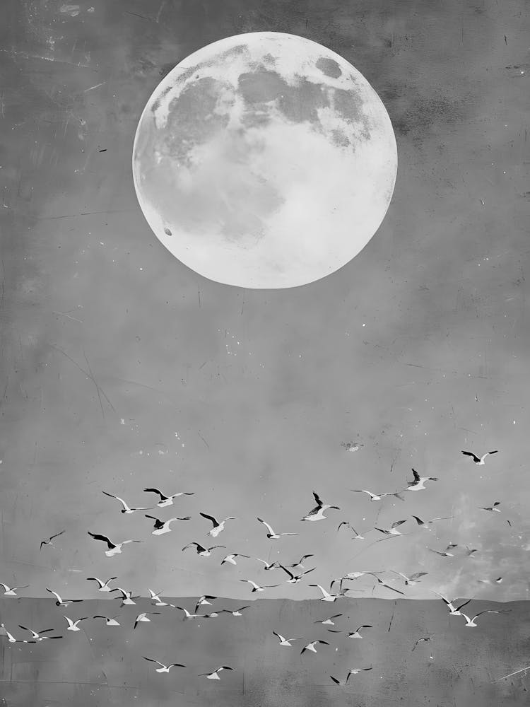 Full Moon Over Seagulls