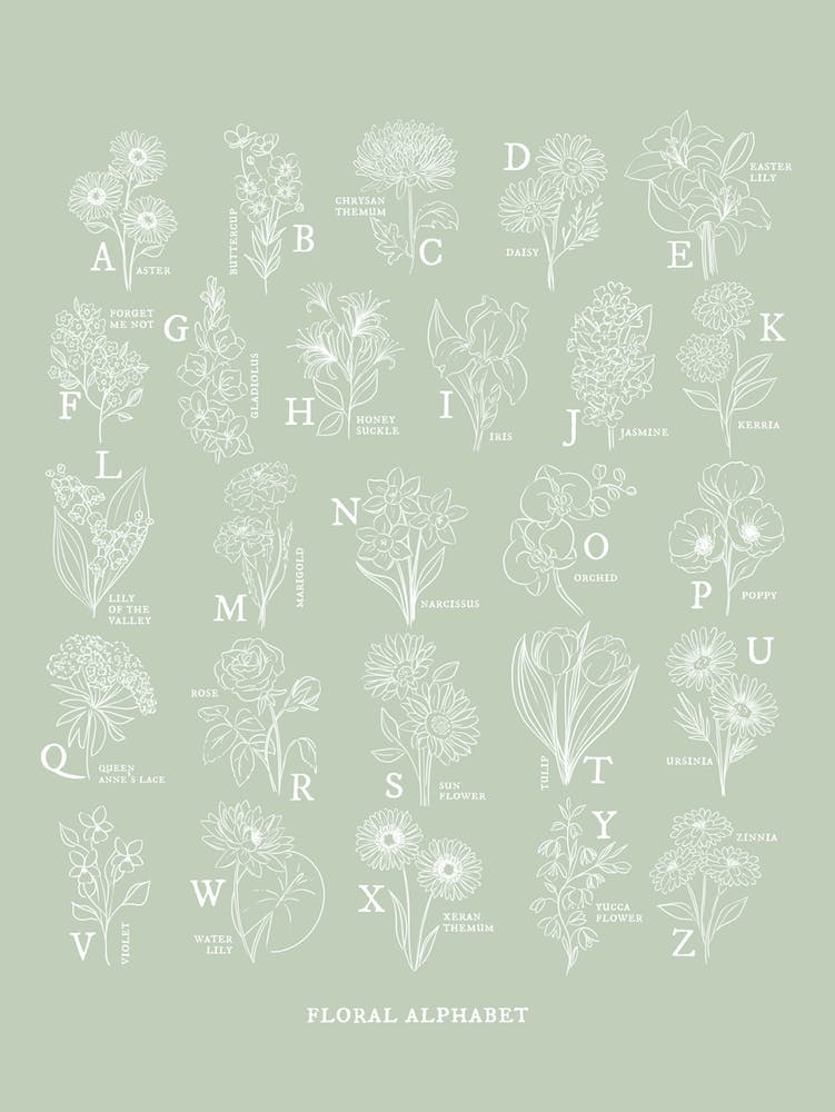 Floral Alphabet | Sage Green