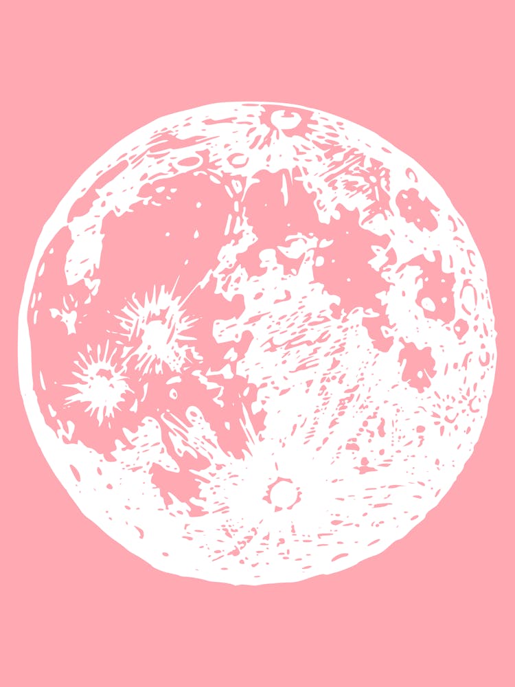 Fy 01
