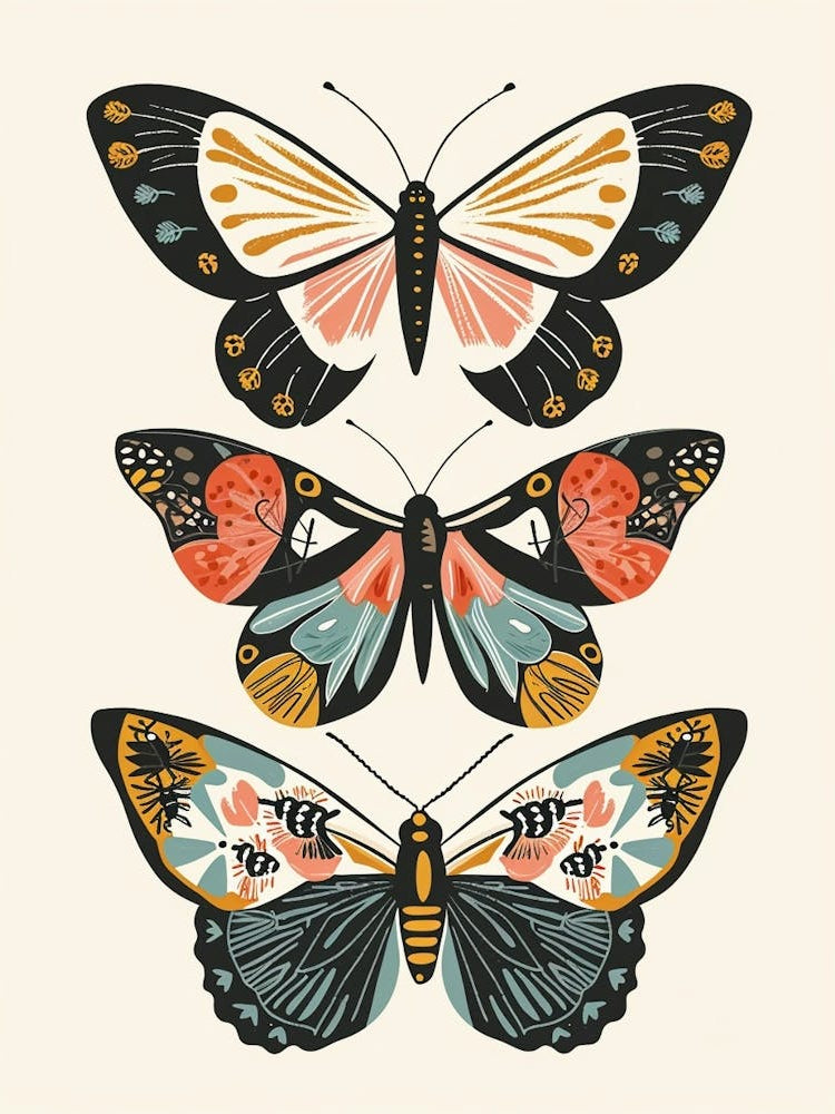 Colourful Insect Illustration Butterfly 9