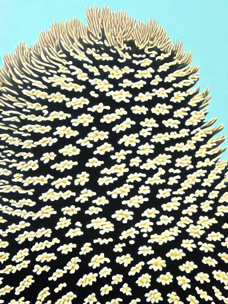 Acropora Tenella Iiii Linocut