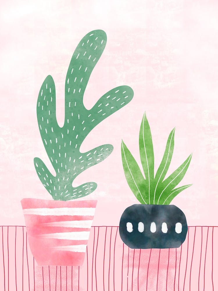 Cacti With Pink