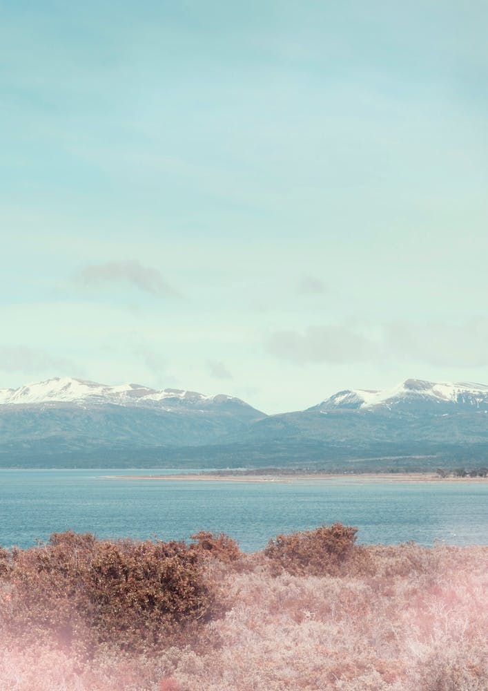Pastel Landscape And Snowy Mountains