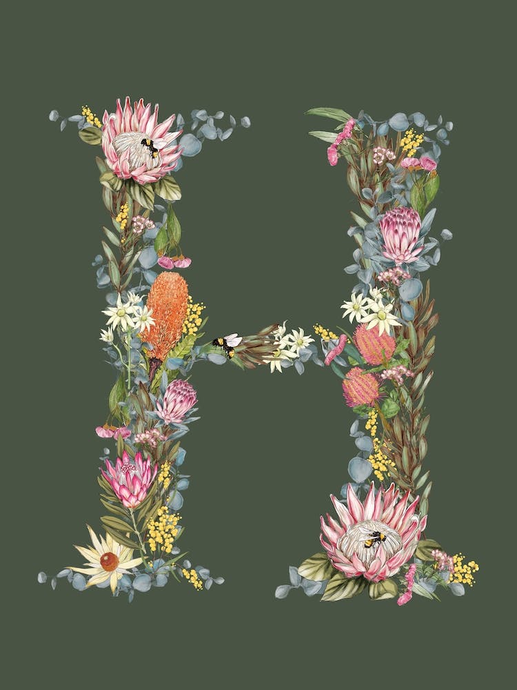 H Olive Alphabet Letter