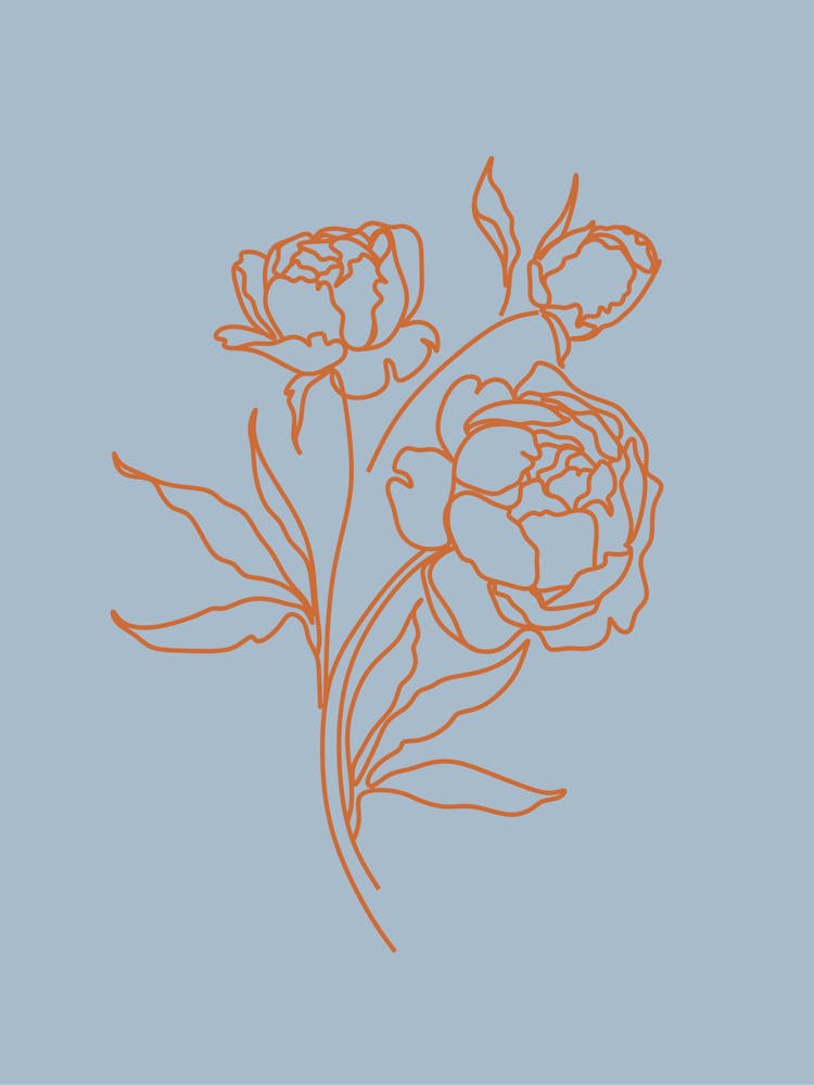 Peonies 5