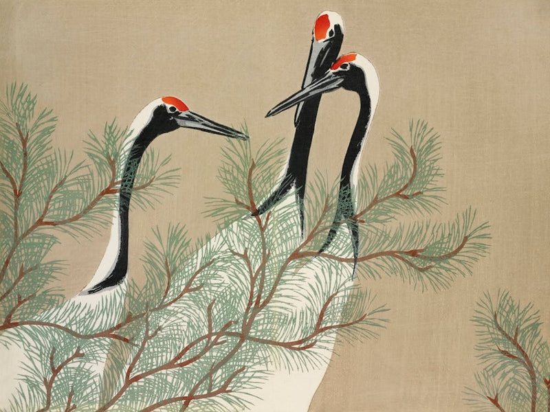 Cranes From Momoyogusa Flowers Of A Hundred Generations (1909), Kamisaka Sekka
